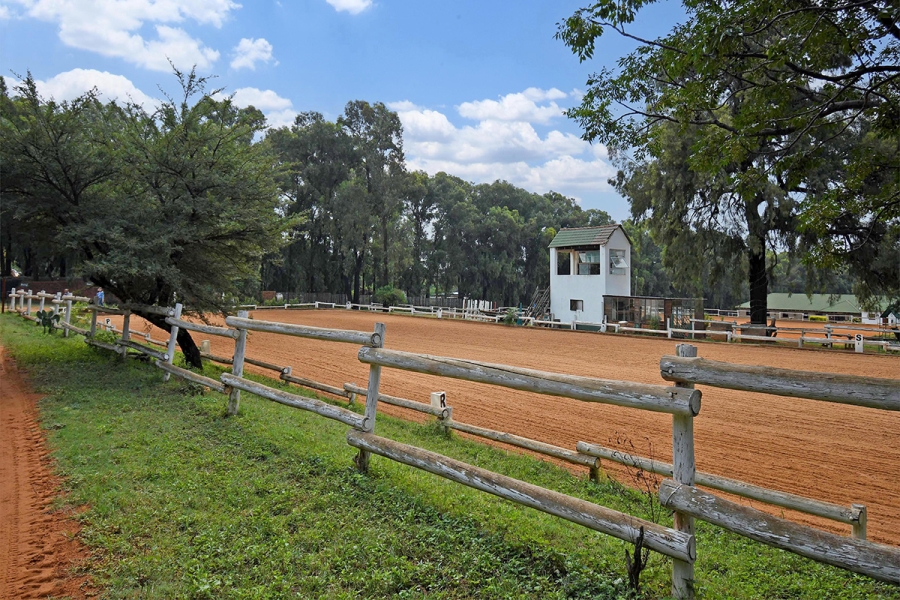6 Bedroom Property for Sale in Strydfontein A H Gauteng
