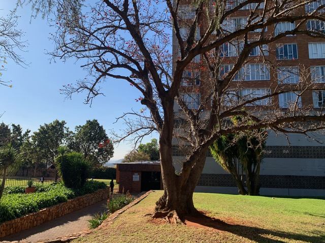 2 Bedroom Property for Sale in La Montagne Gauteng