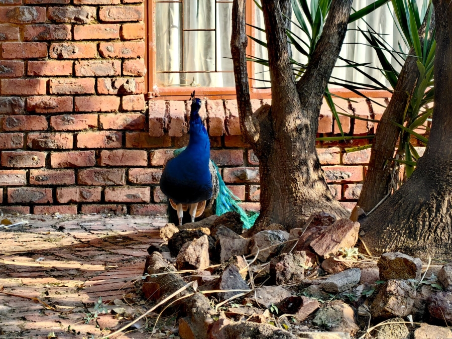 3 Bedroom Property for Sale in Grootvlei AH Gauteng