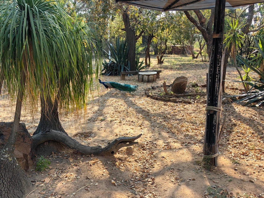 3 Bedroom Property for Sale in Grootvlei AH Gauteng