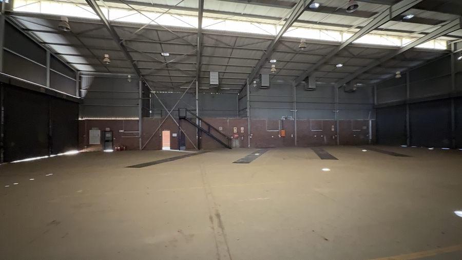 To Let commercial Property for Rent in Driehoek Gauteng
