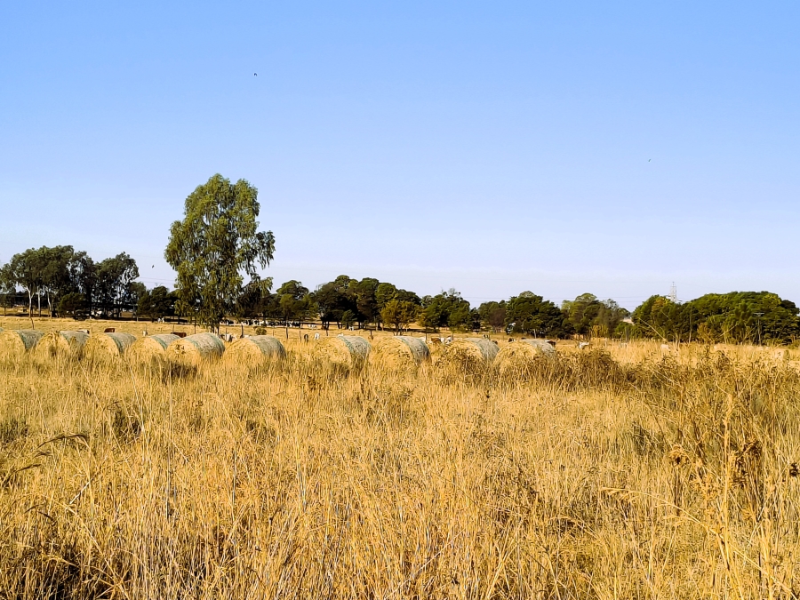 0 Bedroom Property for Sale in Rayton Gauteng