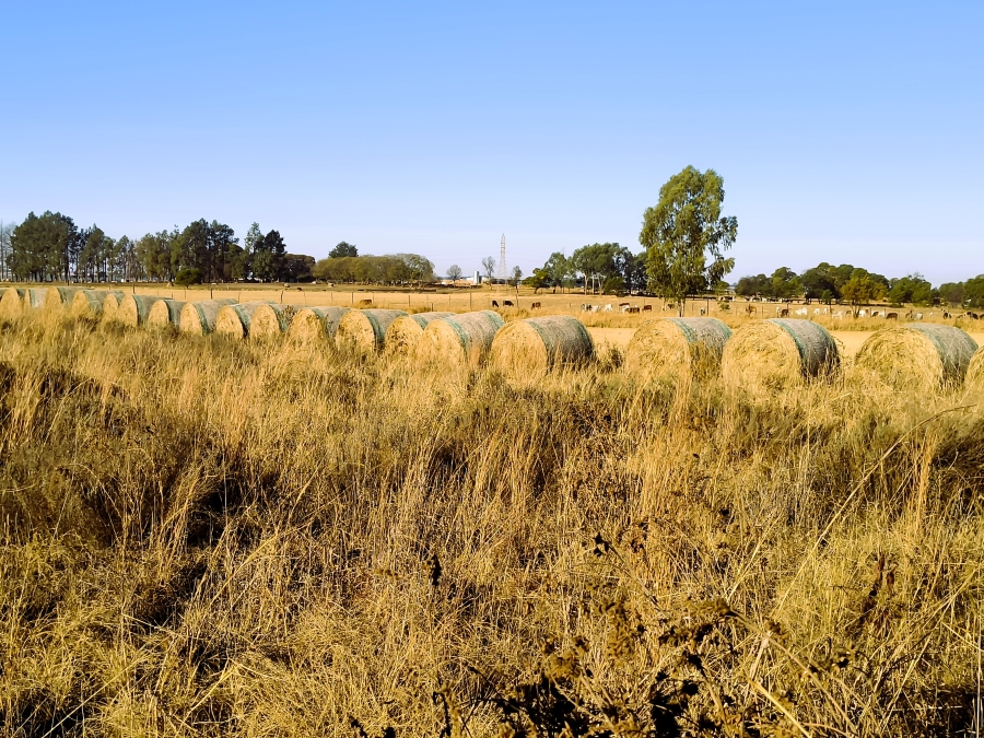 0 Bedroom Property for Sale in Rayton Gauteng