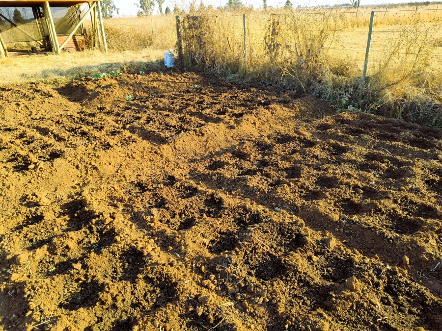 0 Bedroom Property for Sale in Rayton Gauteng