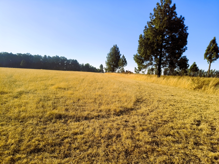 0 Bedroom Property for Sale in Rayton Gauteng