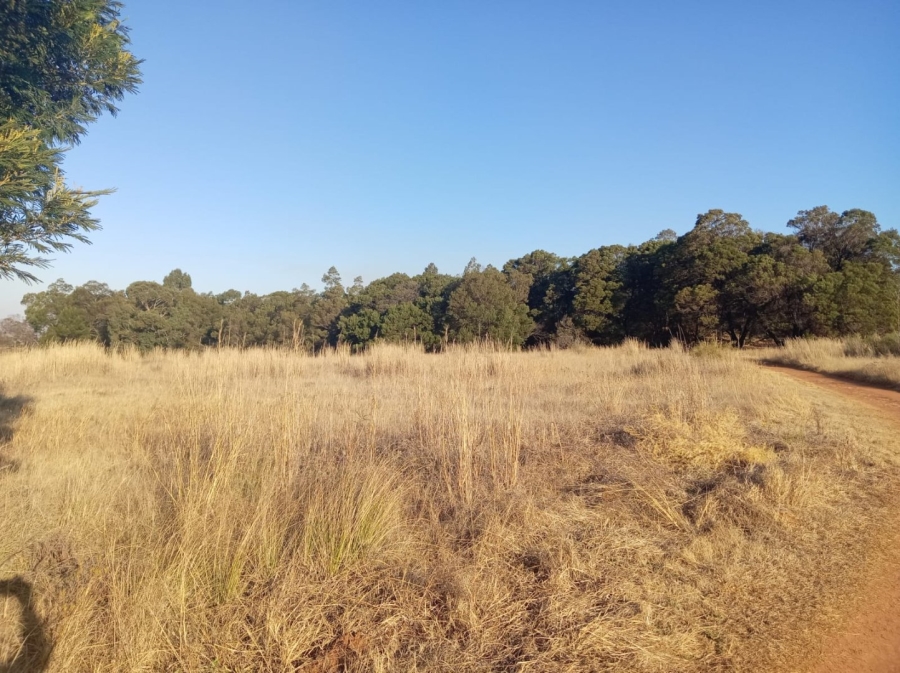 2 Bedroom Property for Sale in Rikasrus A H Gauteng