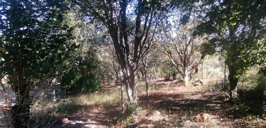 9 Bedroom Property for Sale in Magaliesburg Gauteng