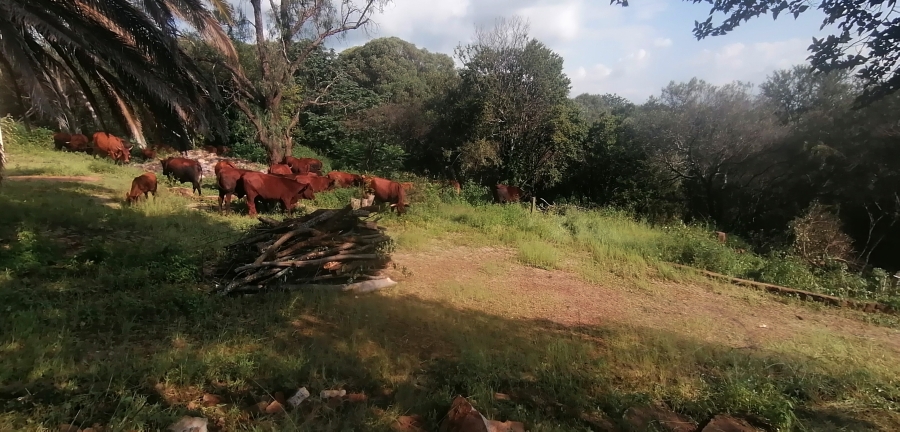 9 Bedroom Property for Sale in Magaliesburg Gauteng
