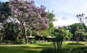 Commercial Property for Sale in Shere Gauteng