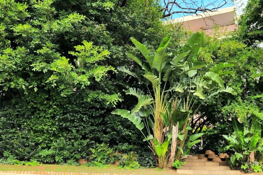 To Let 2 Bedroom Property for Rent in Sandown Gauteng
