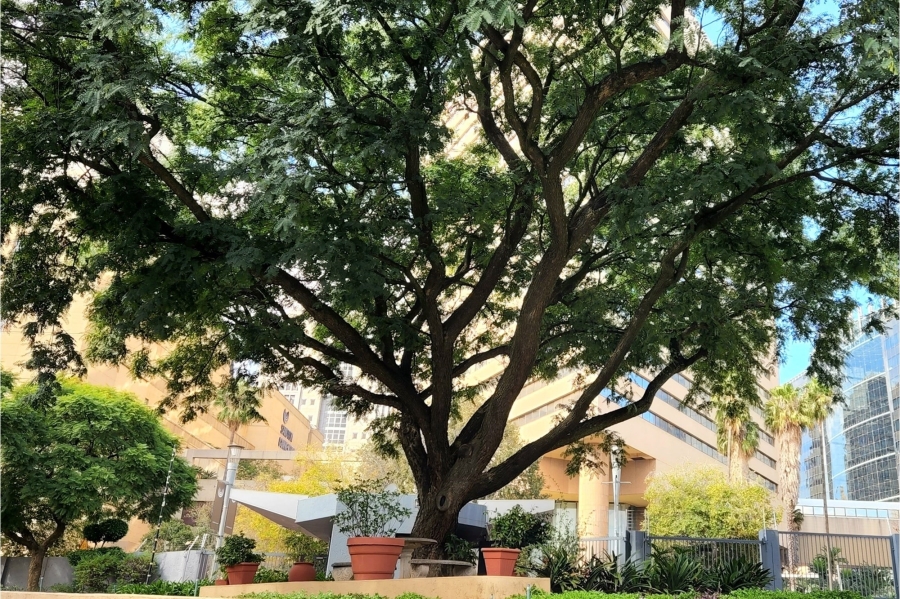 To Let 2 Bedroom Property for Rent in Sandown Gauteng