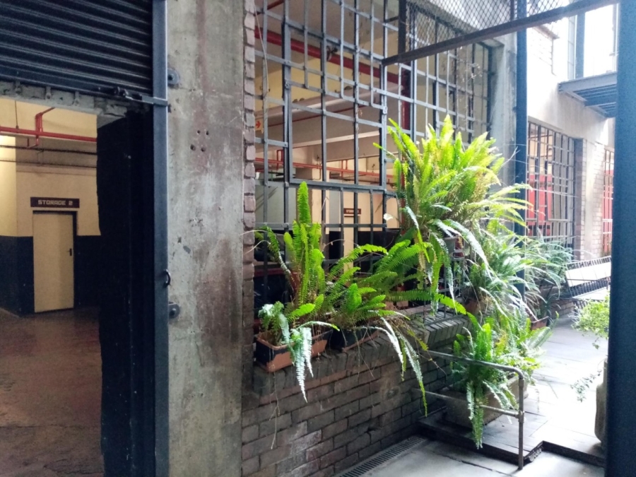 To Let 1 Bedroom Property for Rent in City and Suburban Gauteng