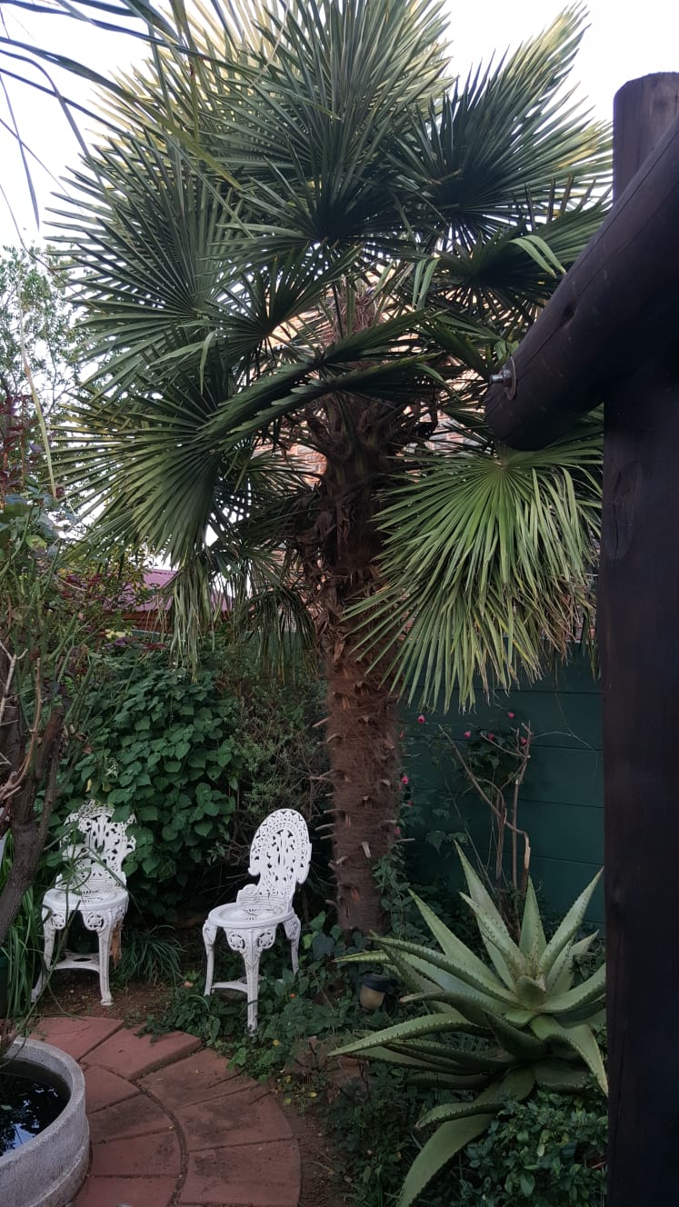 3 Bedroom Property for Sale in Sunair Park Gauteng