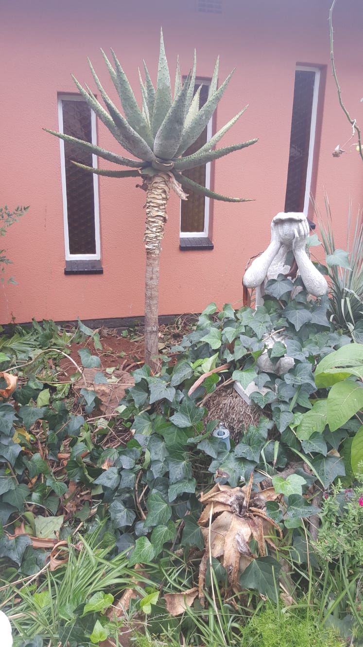 3 Bedroom Property for Sale in Sunair Park Gauteng