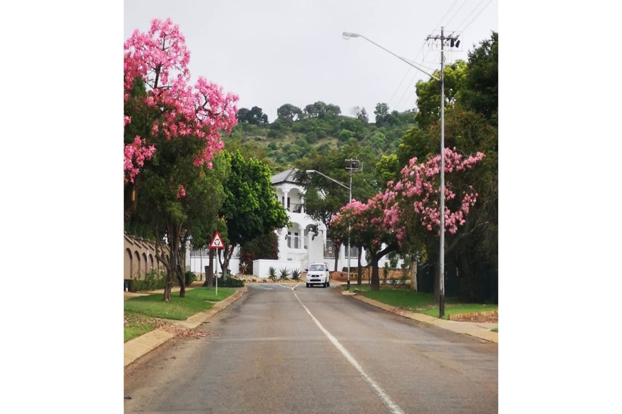 0 Bedroom Property for Sale in Groenkloof Gauteng