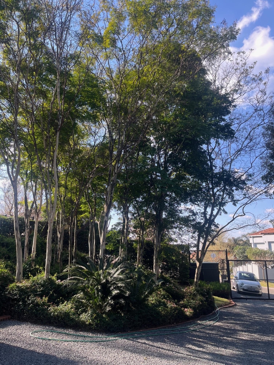 To Let 3 Bedroom Property for Rent in Waterkloof Ridge Gauteng