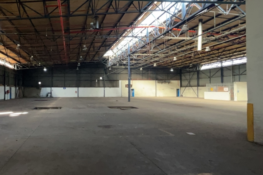 To Let commercial Property for Rent in Anderbolt Gauteng