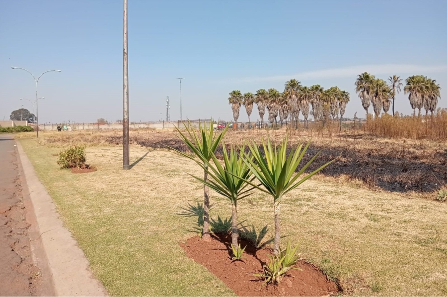 0 Bedroom Property for Sale in Actonville Gauteng