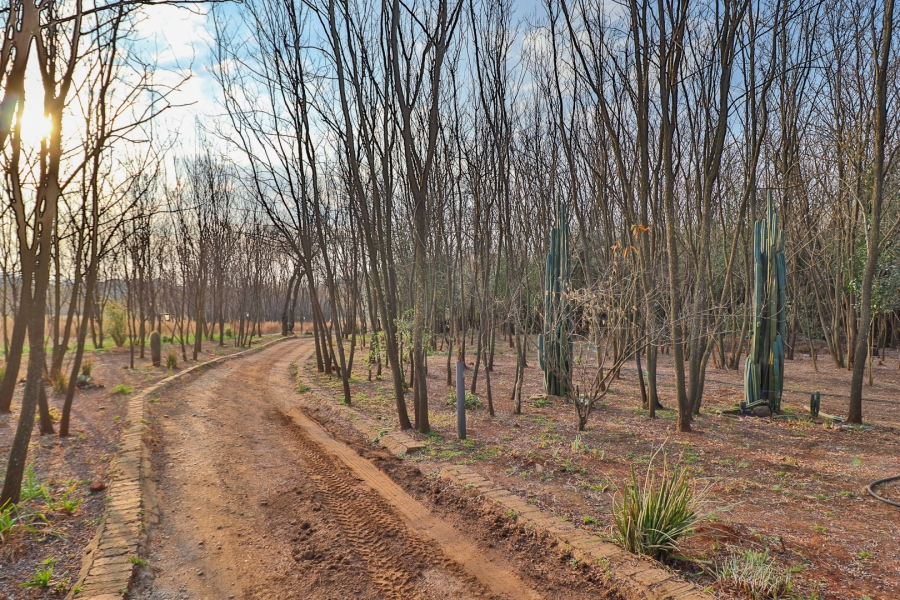 9 Bedroom Property for Sale in Hartzenbergfontein Gauteng