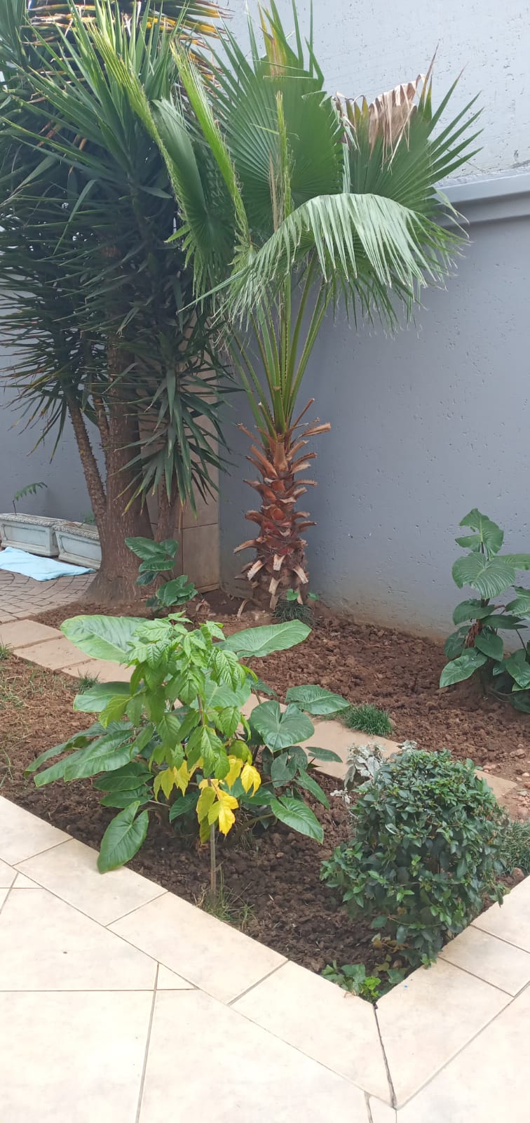 3 Bedroom Property for Sale in Vanderbijlpark SE 2 Gauteng