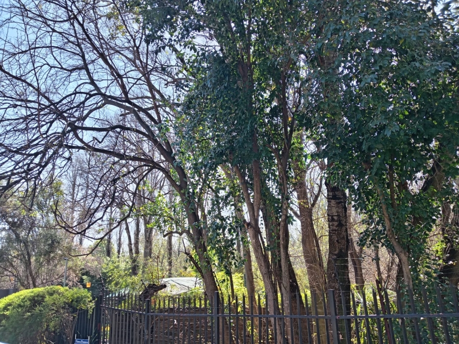 4 Bedroom Property for Sale in Fourways Gauteng