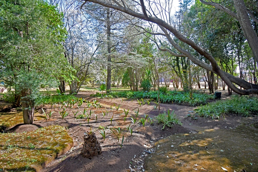 3 Bedroom Property for Sale in Gerardsville Gauteng