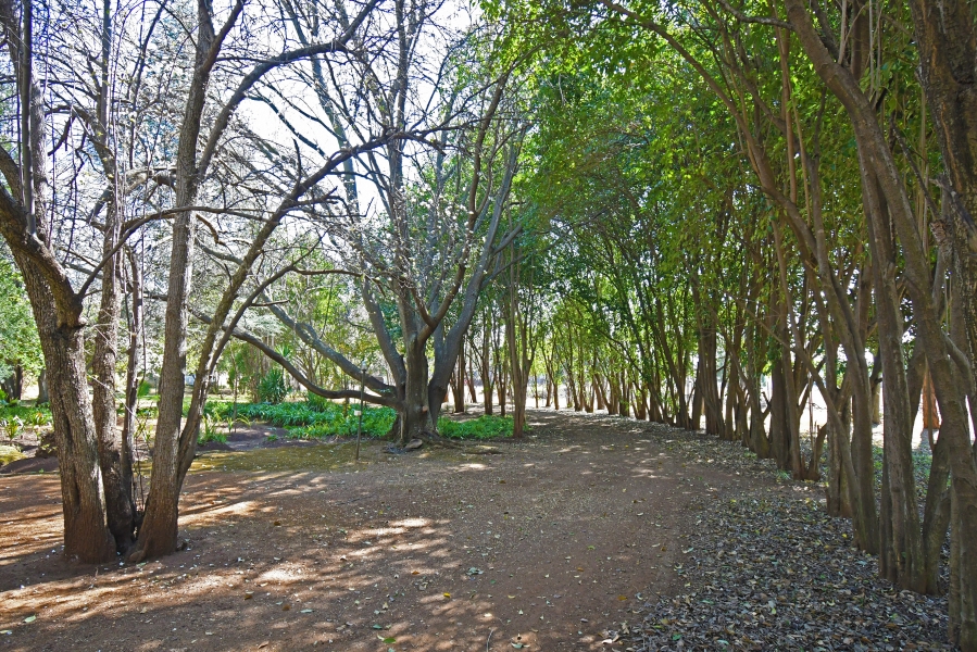 3 Bedroom Property for Sale in Gerardsville Gauteng