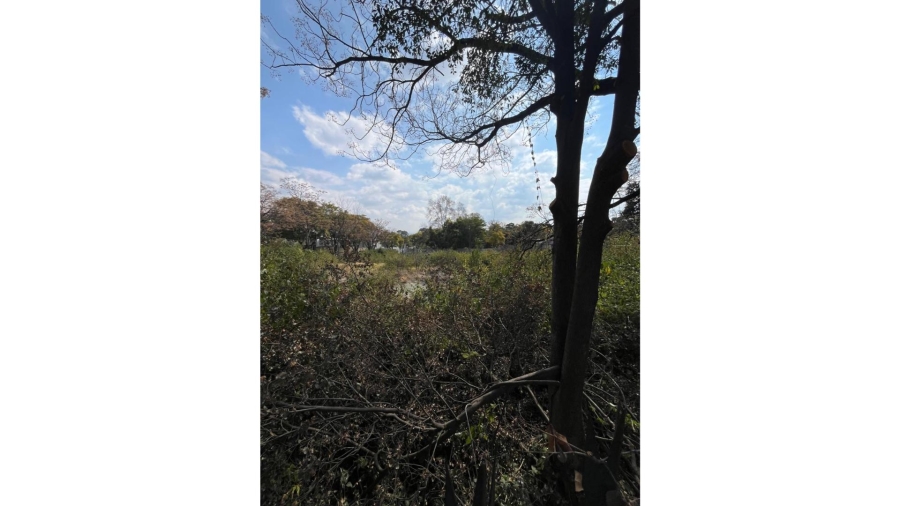 0 Bedroom Property for Sale in Bryanston Gauteng