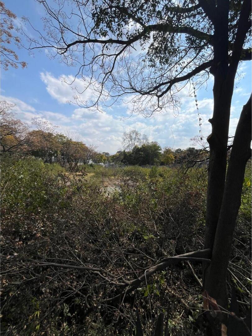 0 Bedroom Property for Sale in Bryanston Gauteng