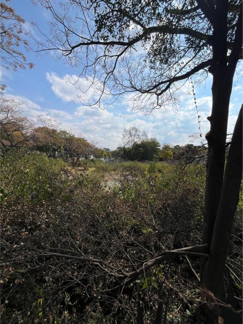 0 Bedroom Property for Sale in Bryanston Gauteng