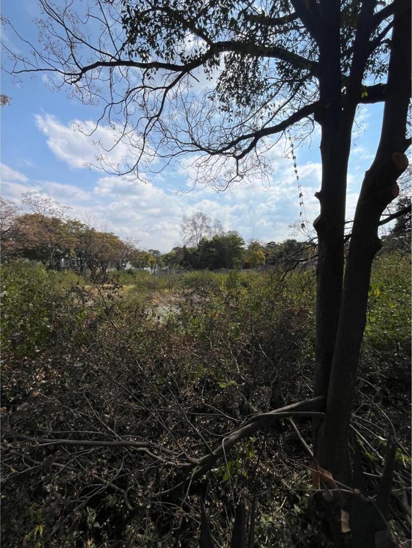 0 Bedroom Property for Sale in Bryanston Gauteng