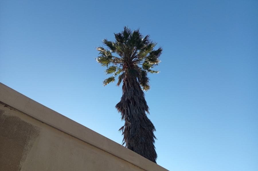 To Let 3 Bedroom Property for Rent in Lombardy East Gauteng