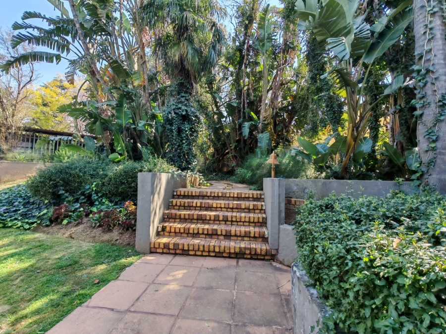 To Let 3 Bedroom Property for Rent in Randpark Ridge Gauteng
