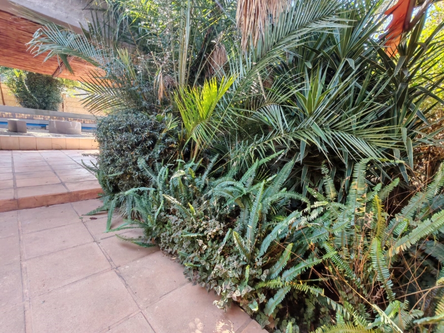 To Let 3 Bedroom Property for Rent in Randpark Ridge Gauteng