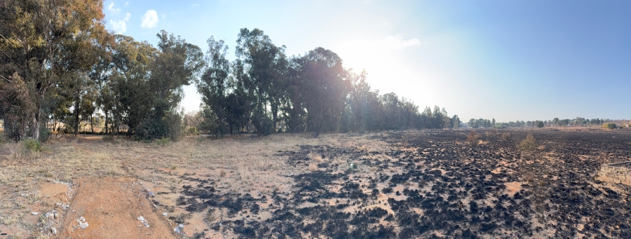 0 Bedroom Property for Sale in Walker Fruit Farms Gauteng