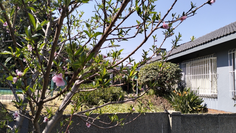 To Let 3 Bedroom Property for Rent in Croydon Gauteng
