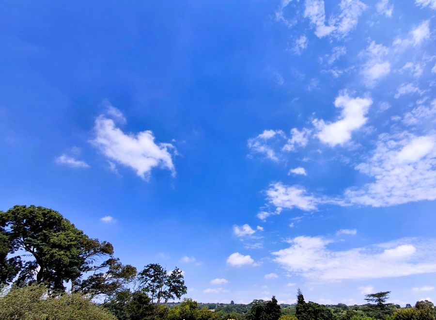 0 Bedroom Property for Sale in Craighall Park Gauteng