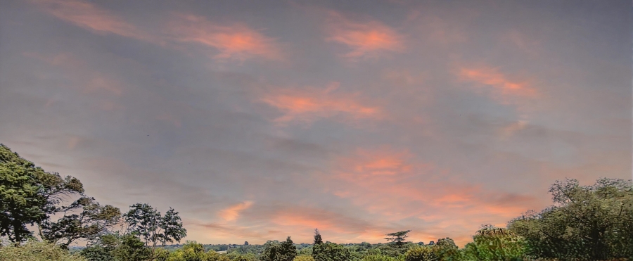 0 Bedroom Property for Sale in Craighall Park Gauteng