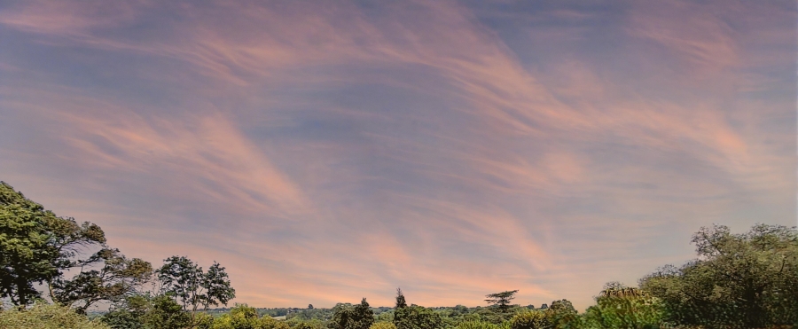 0 Bedroom Property for Sale in Craighall Park Gauteng