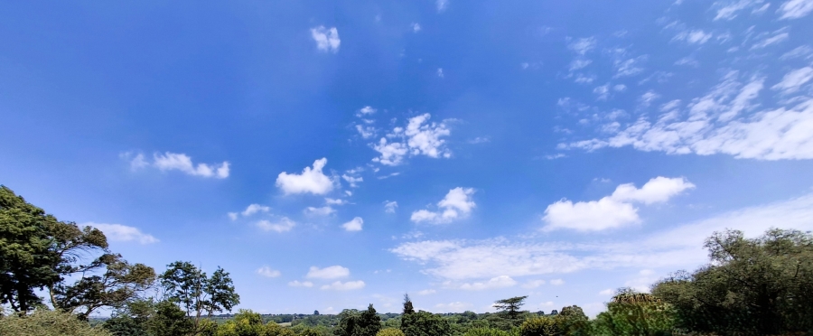 0 Bedroom Property for Sale in Craighall Park Gauteng