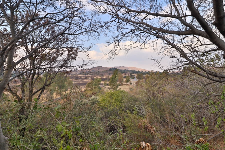 4 Bedroom Property for Sale in Hartzenbergfontein Gauteng