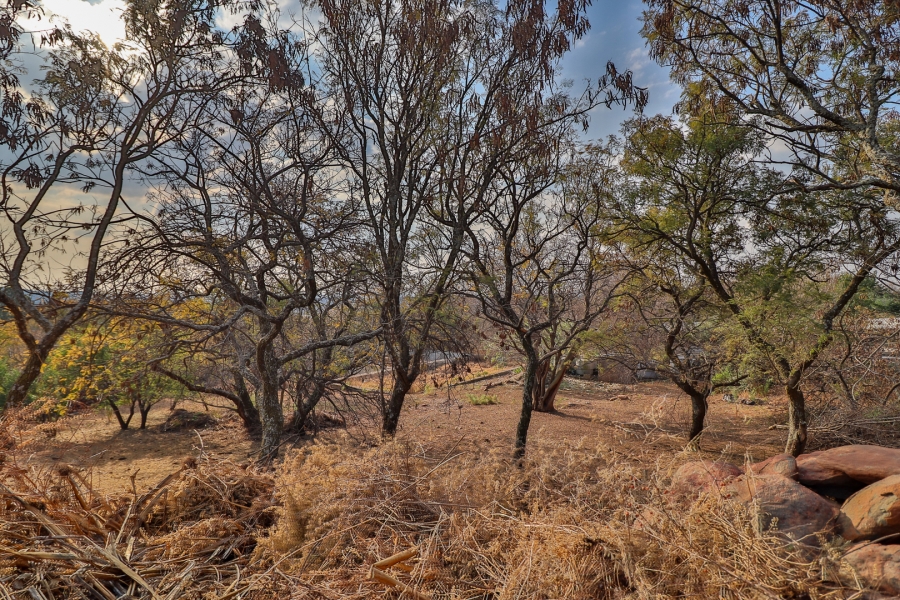 4 Bedroom Property for Sale in Hartzenbergfontein Gauteng