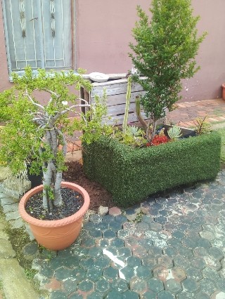 3 Bedroom Property for Sale in Pimville Zone 5 Gauteng