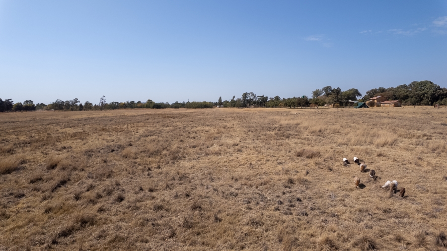 4 Bedroom Property for Sale in Hartzenbergfontein Gauteng