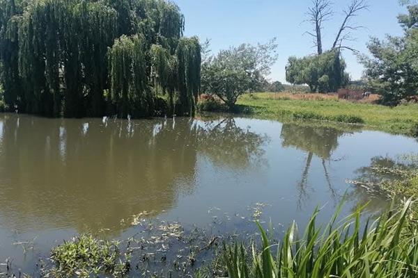 9 Bedroom Property for Sale in Elandsvlei Gauteng