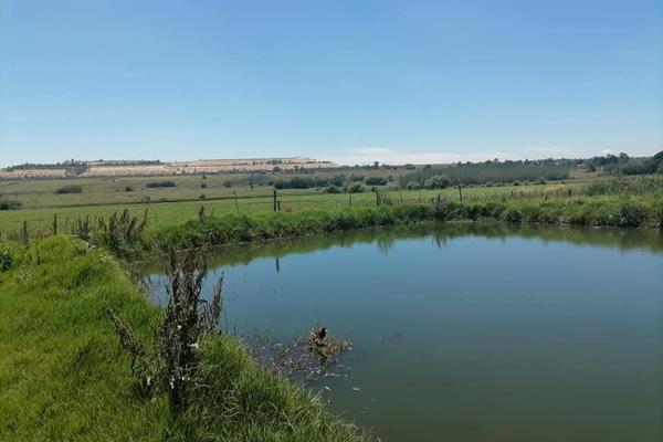 9 Bedroom Property for Sale in Elandsvlei Gauteng