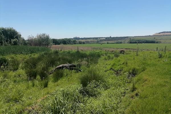 9 Bedroom Property for Sale in Elandsvlei Gauteng