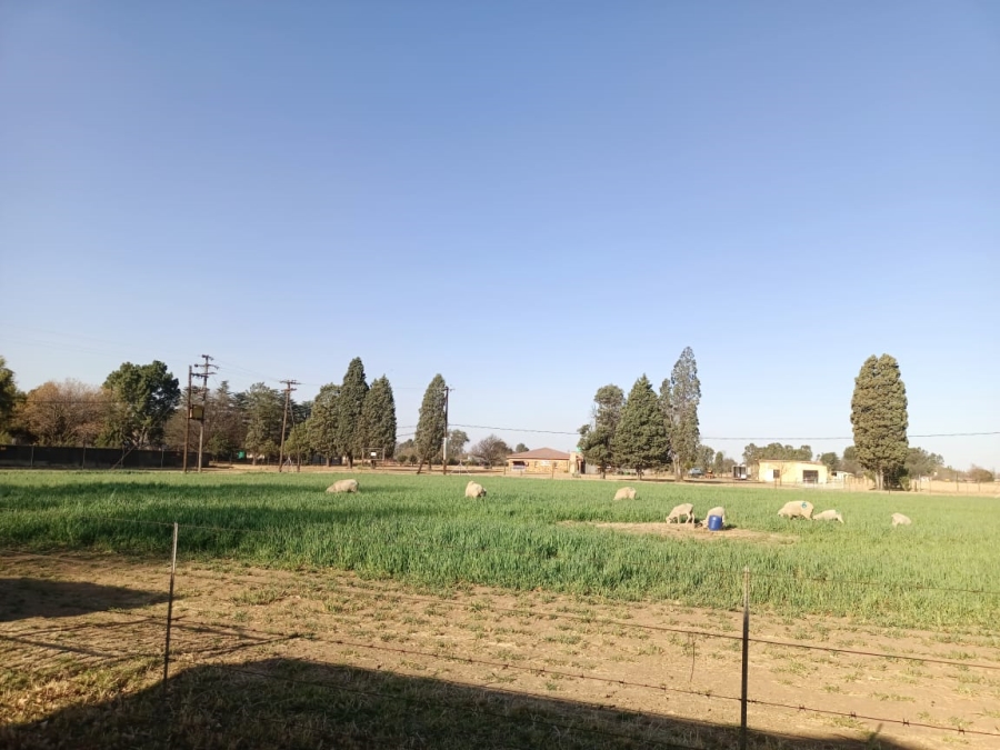 4 Bedroom Property for Sale in Vaalview Gauteng