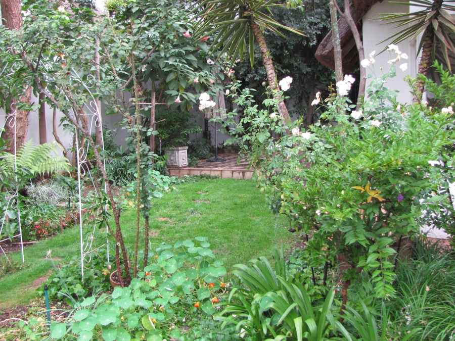 To Let 3 Bedroom Property for Rent in Sunninghill Gauteng