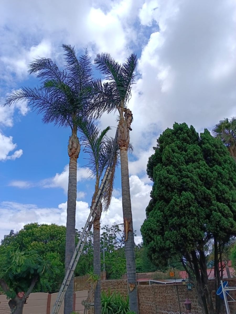 4 Bedroom Property for Sale in Brenthurst Gauteng